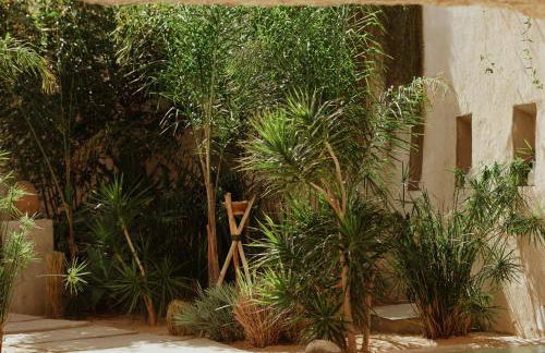 Ecohotel El Agua - Foto 61