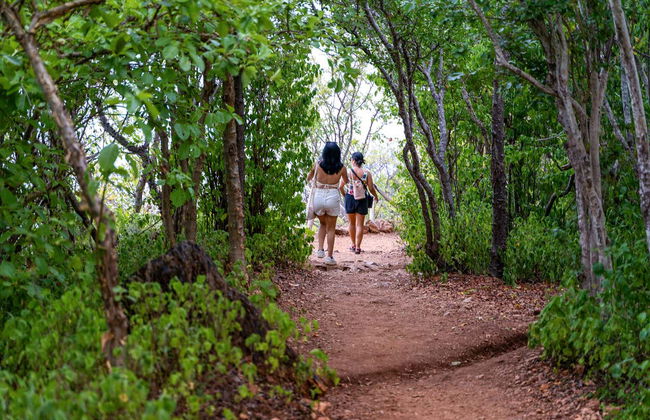 Excursión privada a Mazunte y los miradores de Puerto Escondido - Foto 9