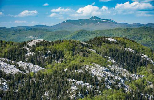 Cozy Home with Private Garden - Happy Rentals - Foto 62