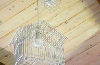 Palazzo del Diplomatico - Foto 67