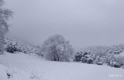 Country Home Genesi 20 min from Trikala - Foto 28