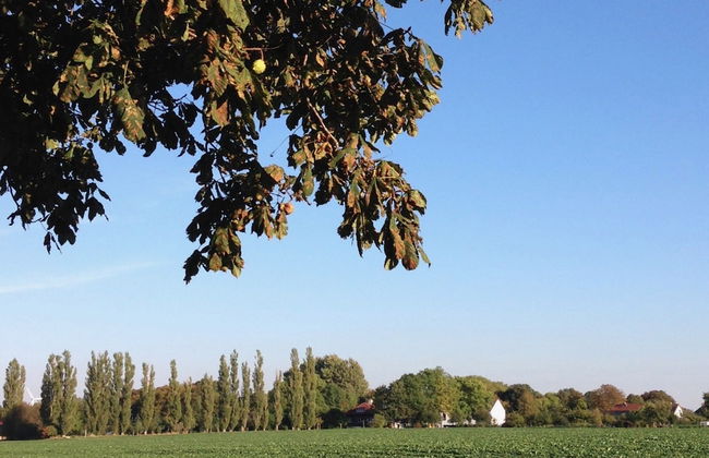 Spacious Apartment in Boddin With Garden - Photo 51