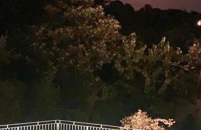 Trullo di Mariluna - Foto 8