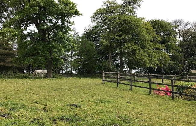 Bumble Bee Cottage - Foto 20