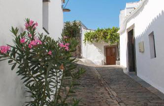 Sossego da Carminho - Foto 59