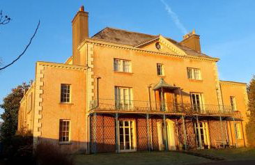 Little Plas - Foto 11