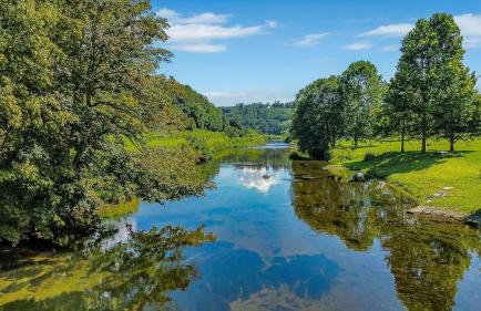 Cozy Cabin Right on the New River in Todd - Easy River Access - Fire Pit - Photo 3