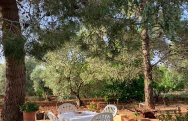 Il Trullo di Francesca - Foto 34