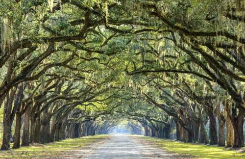 Near River St, Forsyth & DT - Stylish - Free Parking - Foto 40