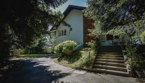 Old Chestnut Vacation Home - Foto 4