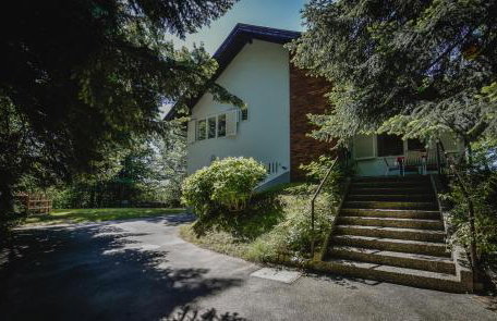 Old Chestnut Vacation Home - Foto 4