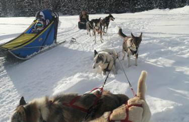 Penthouse l'Ourse Bleue - Sauna privatif - accès direct aux pistes - Foto 43