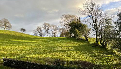 Spring Cottage - Foto 4, Garden view