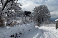 Woods Etna Chalet - Foto 43