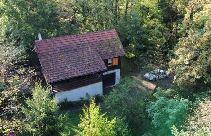 WOODEN HOUSE near the River Kupa - Foto 44