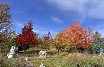 Casa Salvatore - Foto 24