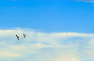 Polys Guest House - Foto 34