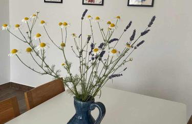 Villa Mi, Rukavac Opatija Riviera - Photo 10