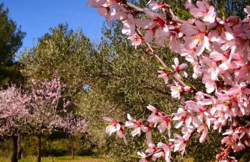 La CASA de Kevin - Torrevieja - Foto 43