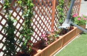 Amazing Appia Antica - Campidoglio - Foto 22