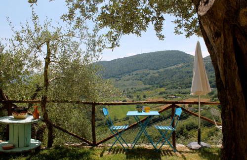 Guesthouse Runcini - Photo 59