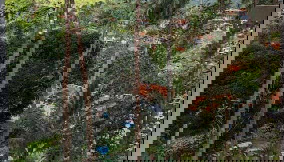 Walk through Las Terrazas