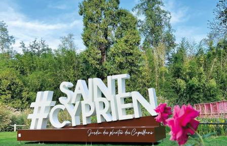 Golf Saint Cyprien ground floor 2 bedrooms Apartment with terrace - Photo 63