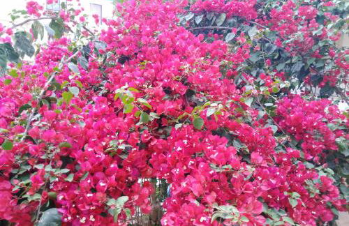 NEW PANORAMA STUDIOS ELECTRIC car ΦΟΡΤΙΣΗΣ ΣΤΑΤΙΟΝ - Foto 17