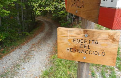 Da Castruccio degli Antelminelli - Foto 22