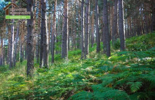 Casa el Mirador de Gredos Norte - Foto 61