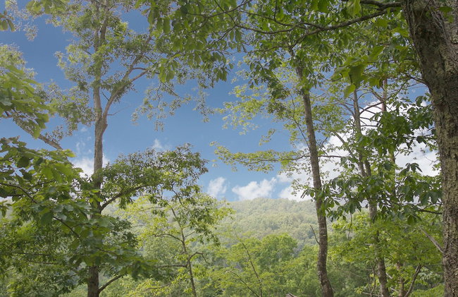 A Time to Remember by Eden Crest Vacation Rentals - Foto 29