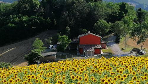 A casa di Matisse - appartamento vacanze - Foto 3
