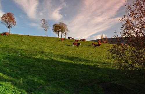 Ferienwohnungen Hansmartihof - Foto 9