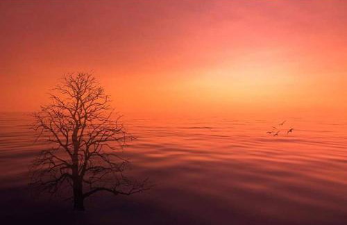 'Mill Cottage' Parbold - Foto 59