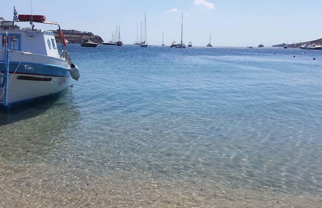 Cycladic Ornos Apt. Near Mykonos Town - Photo 18