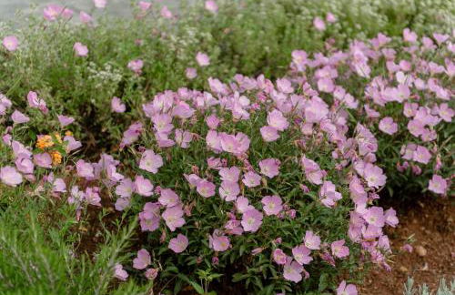 Galio Suites Airport by Airstay - Photo 83