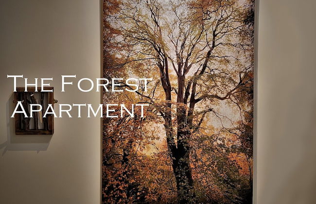 Mourne Mountain Art Apartments - Foto 38