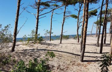 BLUE MARINE APARTAMENT 19 z Tarasem i widokiem na morze przy plaży - Foto 12