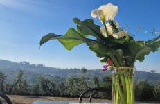 Casa Vetrialla I - Foto 22