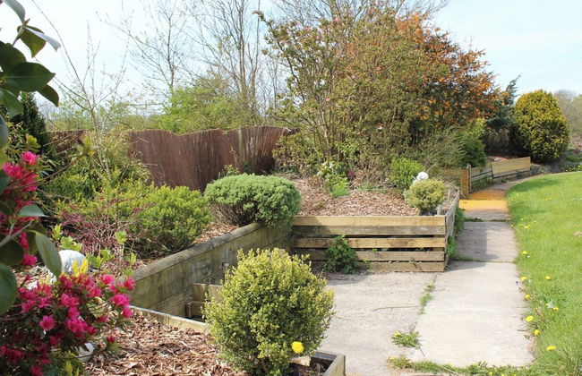 Large Sound Healing Retreat Cottage in West Wales - Foto 22