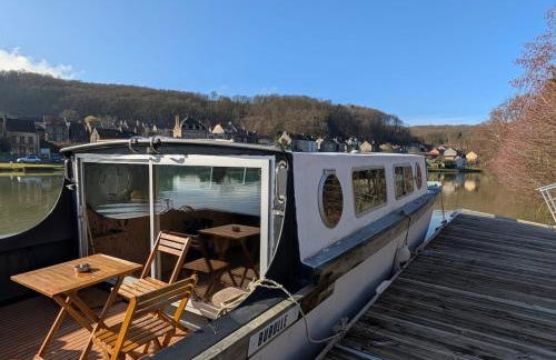 Bull' Expérience - Foto 1