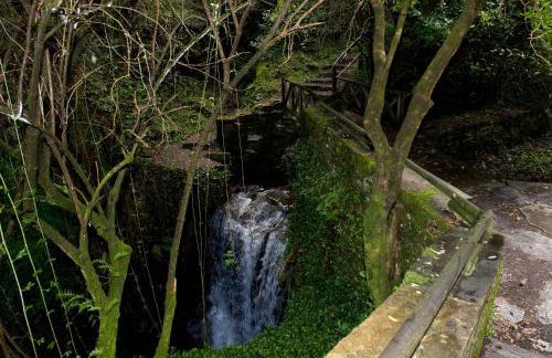 Piódão Casa do Rosmaninho TER - Foto 8