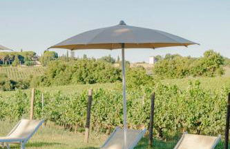 Agriturismo Tenuta Di Mensanello - Foto 37