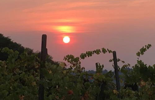 IL NIDO DELLA POIANA CASA VACANZE e B & B - Photo 7