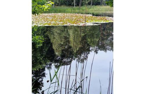 Holiday home Korn am Bärensteig - Foto 37