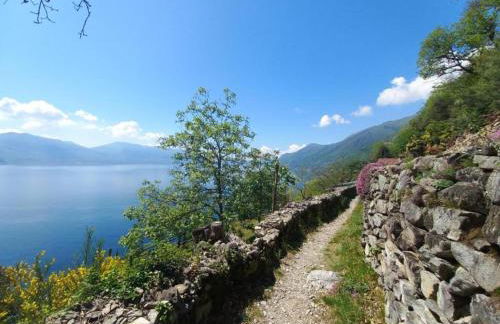 Garden Flat by Lake Maggiore - Foto 29