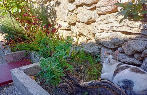 Jardim da Rosa - Foto 38