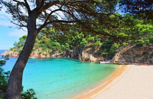 Picasso Mountain View Begur - Foto 64
