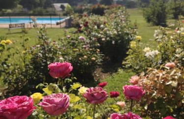 Gite de la roseraie - Foto 5