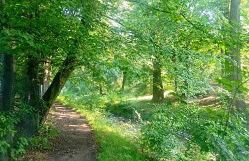 Apartament Rynek 20 - Foto 67